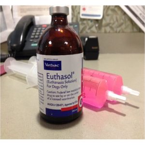 Buy Euthasol Euthanasia