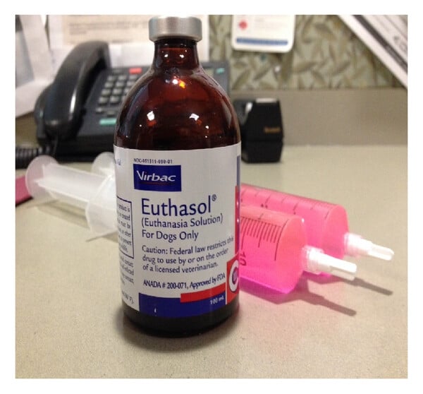 Buy Euthasol Euthanasia